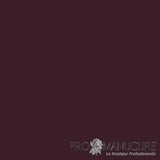 Résultat gel vegan semi-permanent Pauline 1944 Paris brun ébène sophistiqué sur ongles naturels