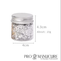 ProManucure-Aluminium-Foil-Papier-NailArt-Couleur-Argent-10g