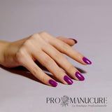 Shellac-All-The-Rage-Hand