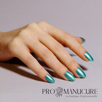 Shellac-Clash-Out-Hand