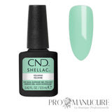 Vernis semi-permanent CND Shellac Iguana vert menthe pastel avec aperçu de la couleur
