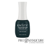 Entity - Color Couture Vernis Semi-Permanent - Own The Room