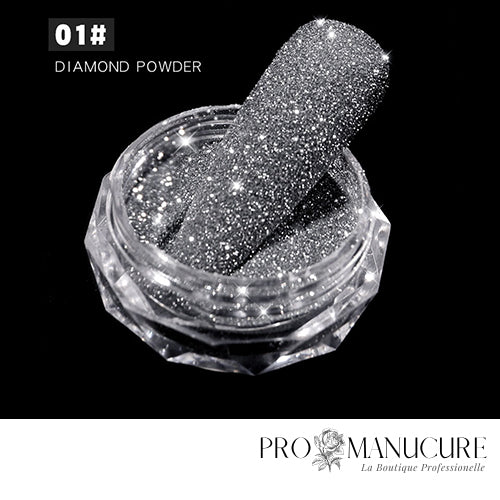 ProManucure NailArt Poudre Crystal Diamond Silver