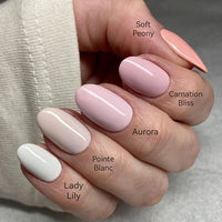 Shellac-Lady-Lilly-Tones2