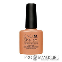Shellac-Shells-In-The-Sand